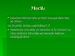 Prezentācija 'Labdarība televīzijā: "Sapņi piepildās"', 7.