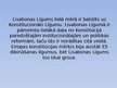 Prezentācija 'Eiropas Savienības konstitūcija un Lisabonas līgums', 10.