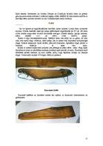 Referāts 'Latviešu mūzikas instrumenti', 17.