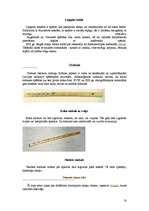 Referāts 'Latviešu mūzikas instrumenti', 18.