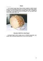 Referāts 'Latviešu mūzikas instrumenti', 23.