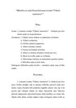 Referāts 'Mīlestība un naids Ilonas Leimanes romānā "Vilkaču mantiniece"', 1.