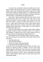 Referāts 'Gada pārskata sastādīšanas nozīme finanšu analīzes nodrošināšanai', 3.