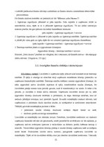 Referāts 'Gada pārskata sastādīšanas nozīme finanšu analīzes nodrošināšanai', 12.