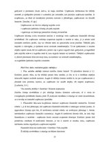 Referāts 'Gada pārskata sastādīšanas nozīme finanšu analīzes nodrošināšanai', 15.