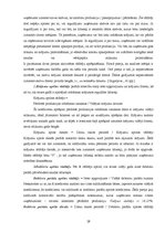 Referāts 'Gada pārskata sastādīšanas nozīme finanšu analīzes nodrošināšanai', 19.