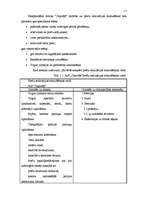 Referāts 'Jaunā produkta virzība tirgū', 11.