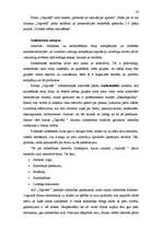 Referāts 'Jaunā produkta virzība tirgū', 16.