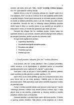 Referāts 'Jaunā produkta virzība tirgū', 18.