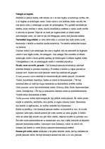 Konspekts 'Sociālā globalizācija', 1.