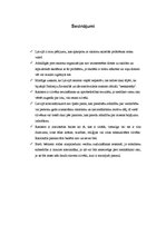 Referāts 'Rasisms', 15.