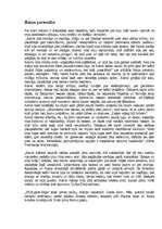 Referāts 'Rainis', 1.