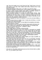 Referāts 'Rainis', 3.