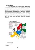 Referāts 'Mobilie telefoni un to pakalpojumu sniedzēji', 9.