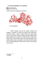 Referāts 'Mobilie telefoni un to pakalpojumu sniedzēji', 12.