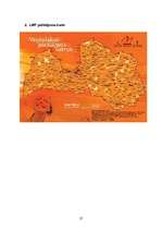 Referāts 'Mobilie telefoni un to pakalpojumu sniedzēji', 37.