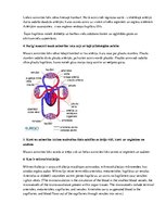 Konspekts '"Cilvēka  funkcionēšanas biomedicīniskie  aspekti"  ievadlekcija', 21.
