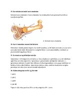 Konspekts '"Cilvēka  funkcionēšanas biomedicīniskie  aspekti"  ievadlekcija', 27.