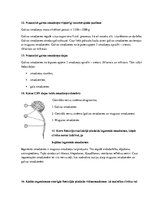 Konspekts '"Cilvēka  funkcionēšanas biomedicīniskie  aspekti"  ievadlekcija', 43.