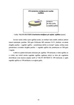 Diplomdarbs 'Konfliktu cēloņi un darbinieku uzvedības stratēģijas konfliktu situācijās valsts', 43.