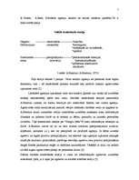 Prakses atskaite 'Agresija', 7.