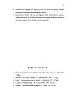 Prakses atskaite 'Agresija', 12.