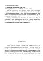 Referāts 'Izglītības reforma Latvijā - sociāla problēma', 18.