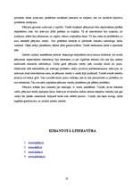 Referāts 'Izglītības reforma Latvijā - sociāla problēma', 19.