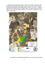 Referāts 'Dabas lieguma "Milzukalns" ekosistēma', 7.