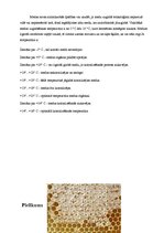 Referāts 'Produkta raksturojums - medus', 10.