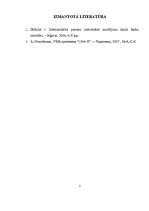 Referāts 'Datorgrafika enerģētikā', 10.