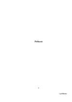 Referāts 'Datorgrafika enerģētikā', 11.