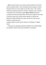 Eseja 'Jaunlatviešu preses izdevumi', 3.