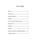 Referāts 'Atmiņa', 4.