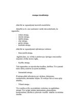 Referāts 'Atmiņa', 9.