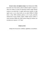 Referāts 'Atmiņa', 12.