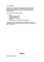 Referāts 'Likums par gada pārskatiem', 8.