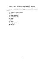 Referāts 'Izmaksas, to struktūra un analīze SIA "X"', 5.