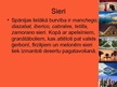 Prezentācija 'Spānija', 12.