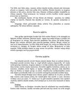 Referāts 'Senās Grieķijas tērpi', 7.