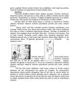 Referāts 'Senās Grieķijas tērpi', 8.