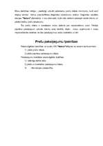 Biznesa plāns 'Biznesa plāns, projekts', 7.