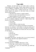 Biznesa plāns 'Biznesa plāns, projekts', 8.