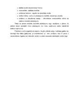 Biznesa plāns 'Biznesa plāns, projekts', 9.