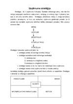 Biznesa plāns 'Biznesa plāns, projekts', 12.