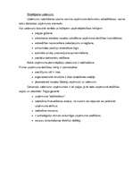 Biznesa plāns 'Biznesa plāns, projekts', 13.