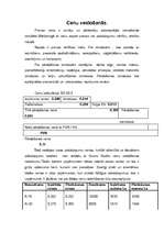 Biznesa plāns 'Biznesa plāns, projekts', 14.