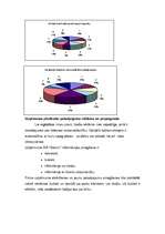 Biznesa plāns 'Biznesa plāns, projekts', 17.