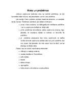 Biznesa plāns 'Biznesa plāns, projekts', 18.