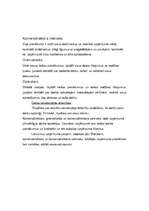 Biznesa plāns 'Biznesa plāns, projekts', 20.